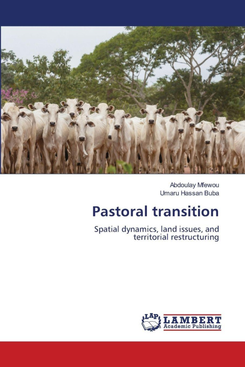 Книга Pastoral transition Abdoulay Mfewou