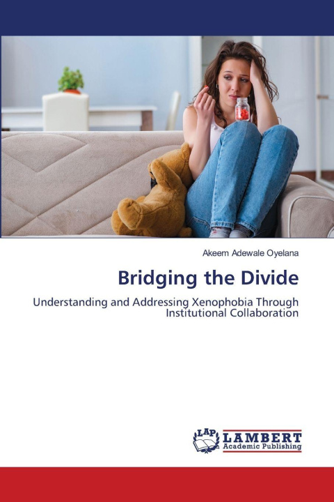 Kniha Bridging the Divide Akeem Adewale Oyelana