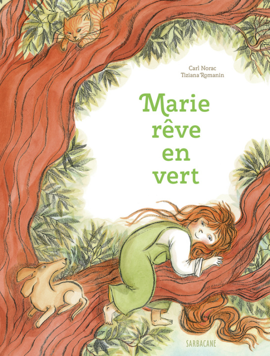 Kniha Marie rêve en vert Romanin