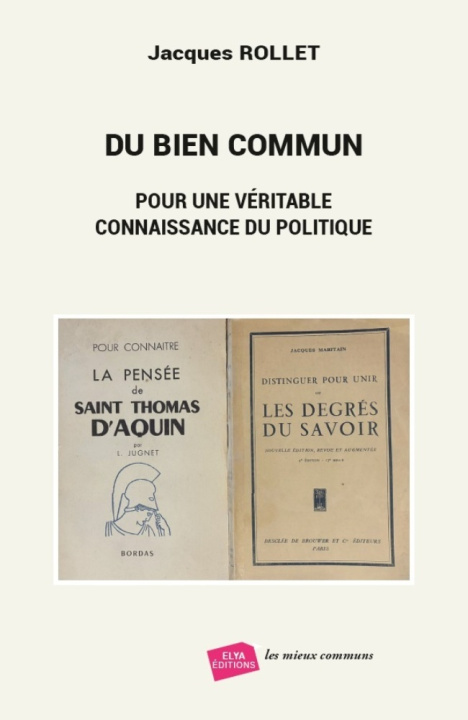 Buch DU BIEN COMMUN ROLLET