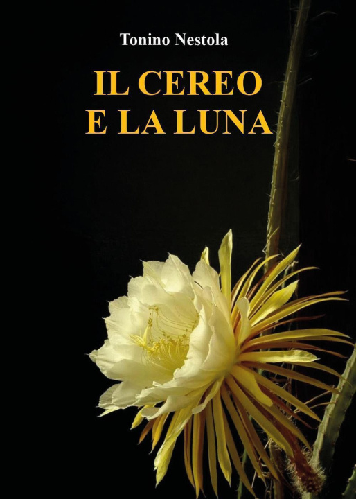 Kniha cereo e la luna Tonino Nestola