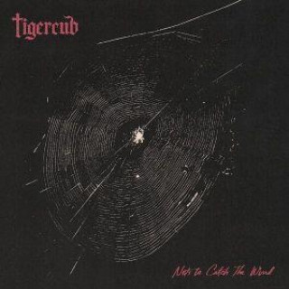 Audio Nets to Catch the Wind Tigercub