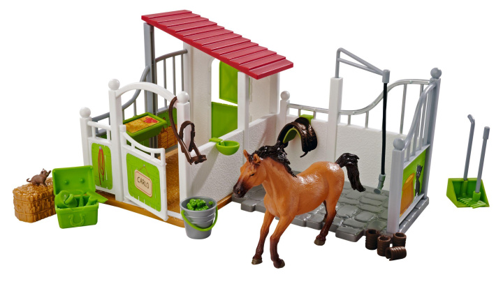 Knjiga Pferdebox und Waschplatz mit Pferd 