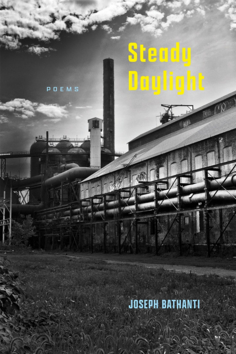 Kniha Steady Daylight Joseph Bathanti