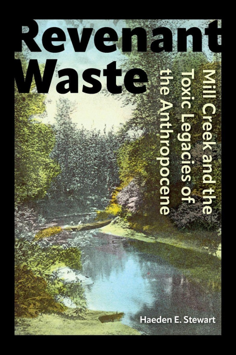 Buch Revenant Waste Haeden E. Stewart