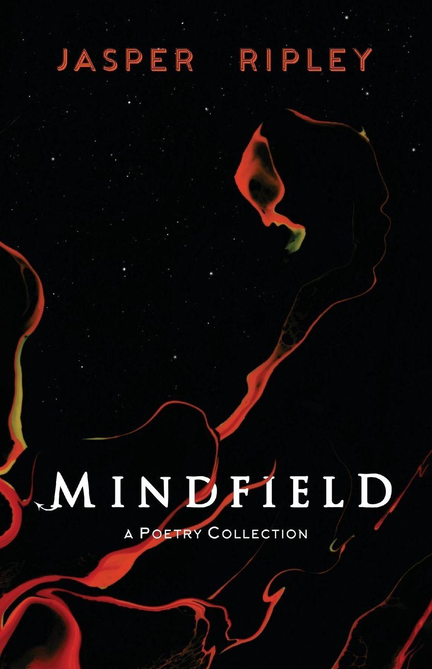 Kniha Mindfield Jasper Ripley