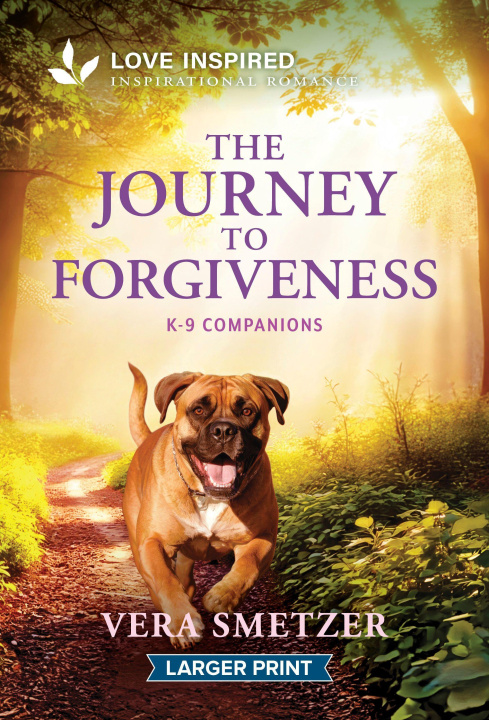 Boek The Journey to Forgiveness 