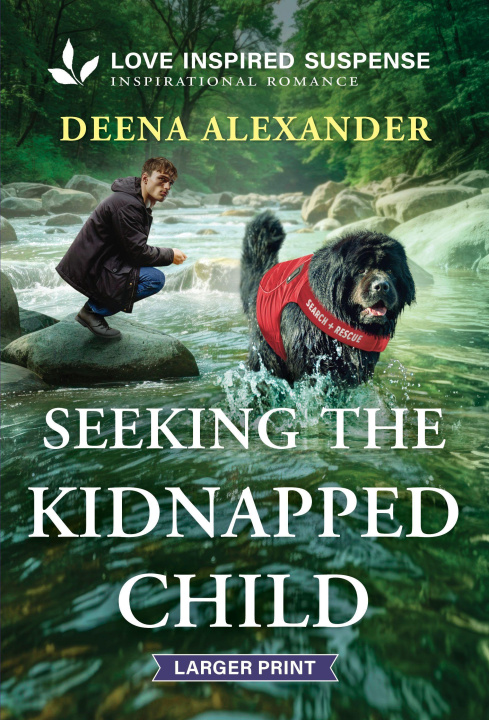 Kniha Seeking the Kidnapped Child 