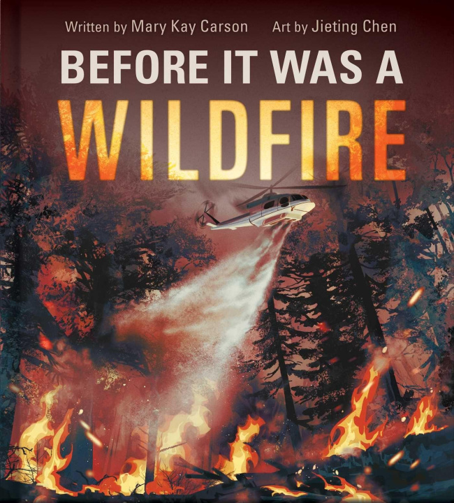 Kniha Before It Was a Wildfire Jieting Chen