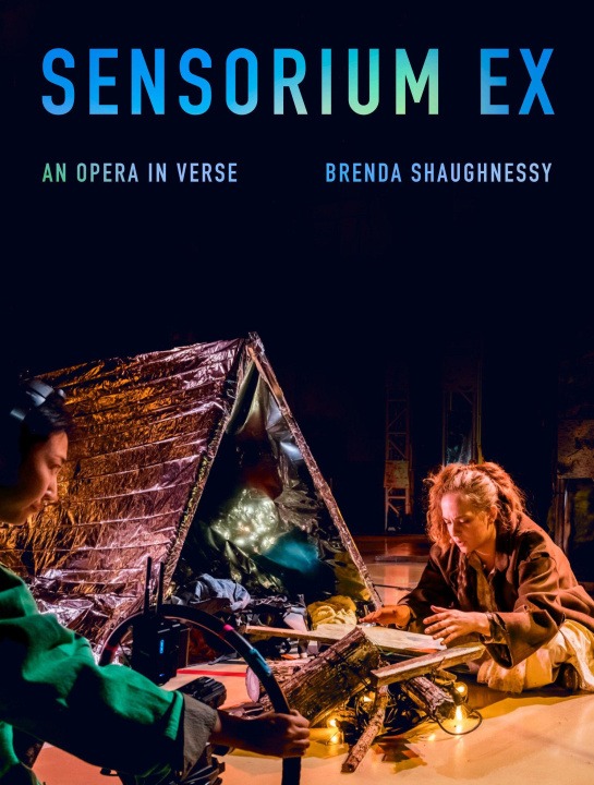 Kniha Sensorium Ex SHAUGHNESSY BRENDA