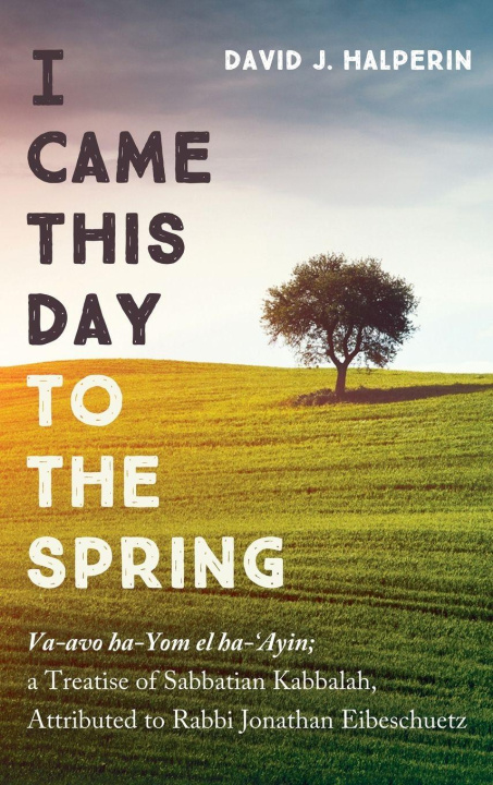 Boek I Came This Day to the Spring David J. Halperin