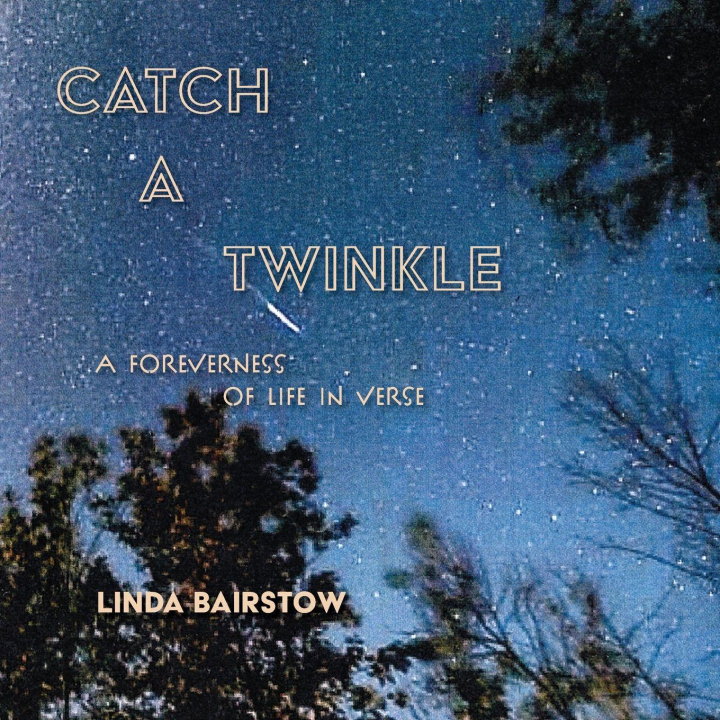 Kniha Catch a Twinkle Linda Bairstow