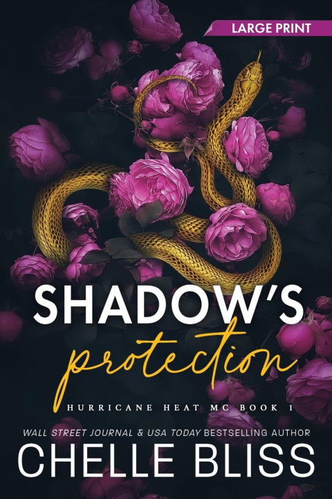 Kniha Shadow's Protection Chelle Bliss