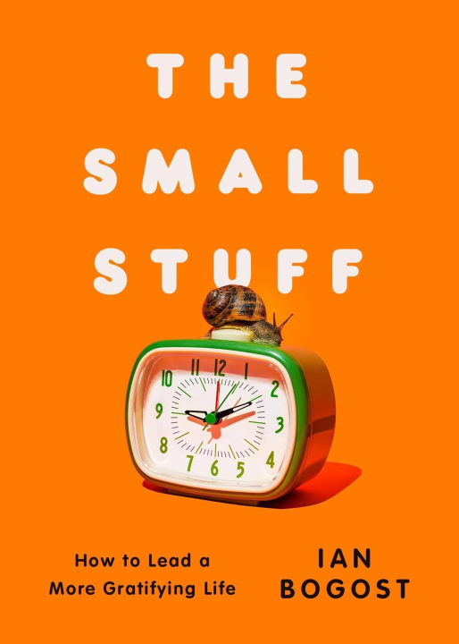 Kniha The Small Stuff BOGOST IAN