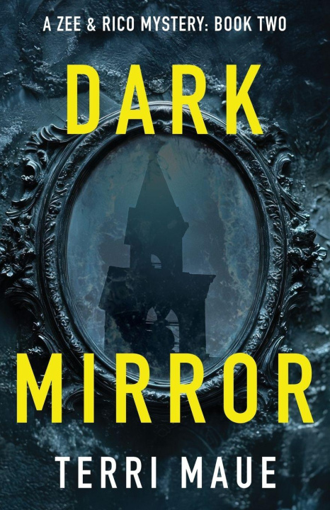 Kniha Dark Mirror Terri Maue