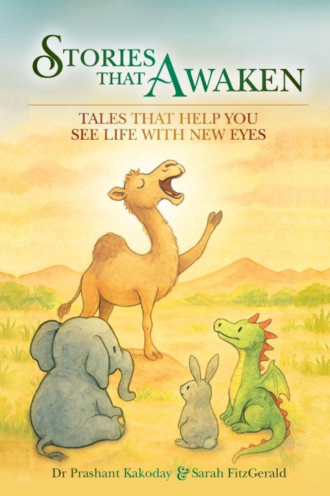Boek Stories that Awaken Sarah Fitzgerald