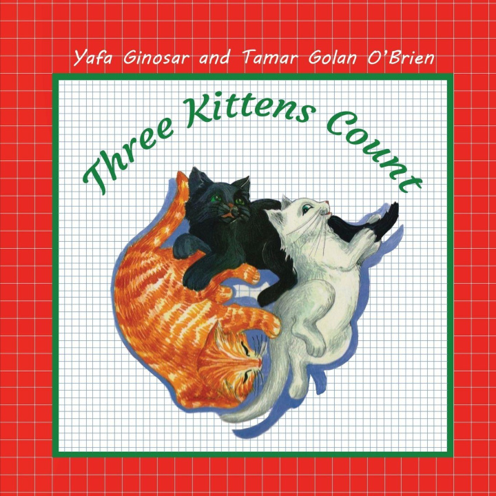 Kniha Three Kittens Count Tamar Golan O'Brien