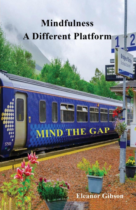 Kniha Mindfulness - A Different Platform Eleanor Gibson