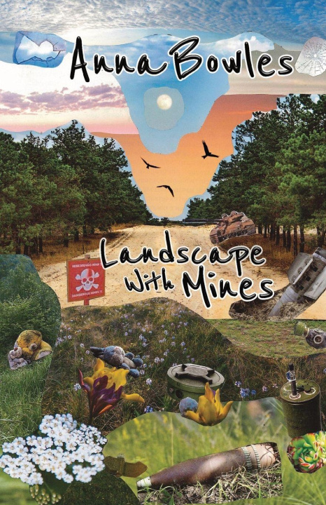 Kniha Landscape with Mines Anna Bowles