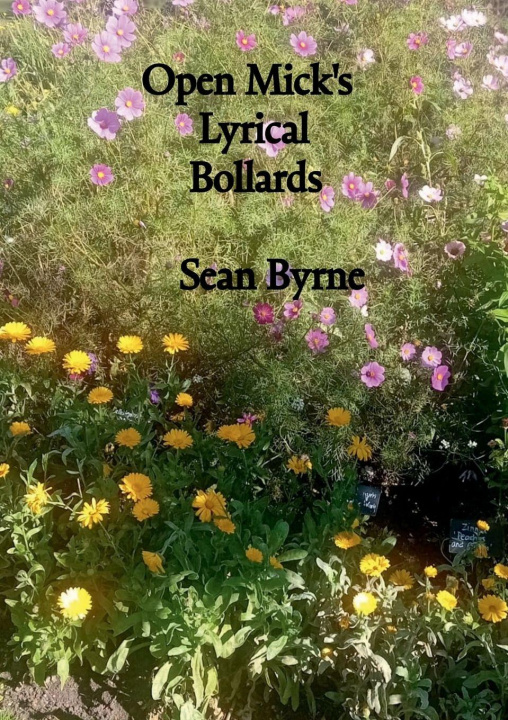 Libro Open Mick's Lyrical Bollards Sean Byrne