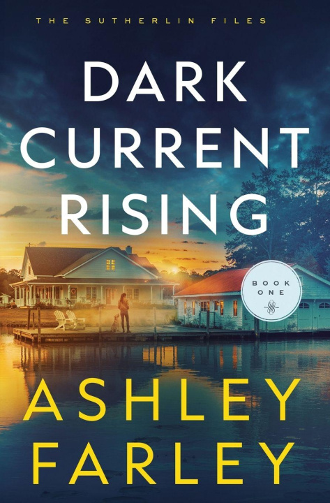 Kniha Dark Current Rising Ashley Farley