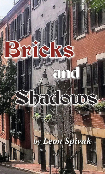 Kniha Bricks and Shadows Leon Spivak