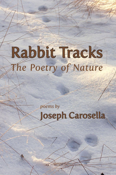 Kniha Rabbit Tracks Joseph Carosella