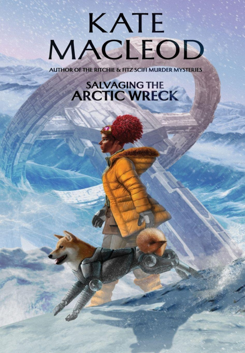 Kniha Salvaging the Arctic Wreck Kate MacLeod