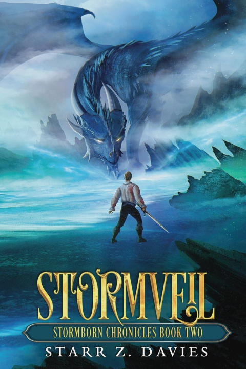 Kniha Stormveil Starr Z Davies