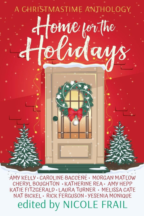 Buch Home for the Holidays Nicole Frail