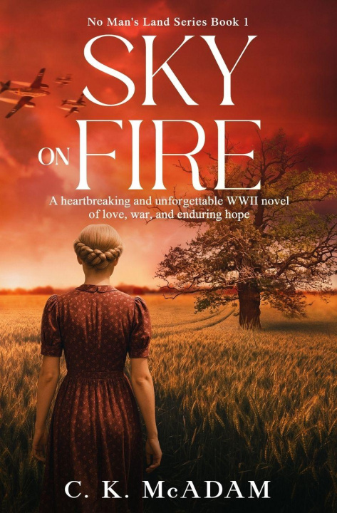 Kniha Sky on Fire C. K. McAdam