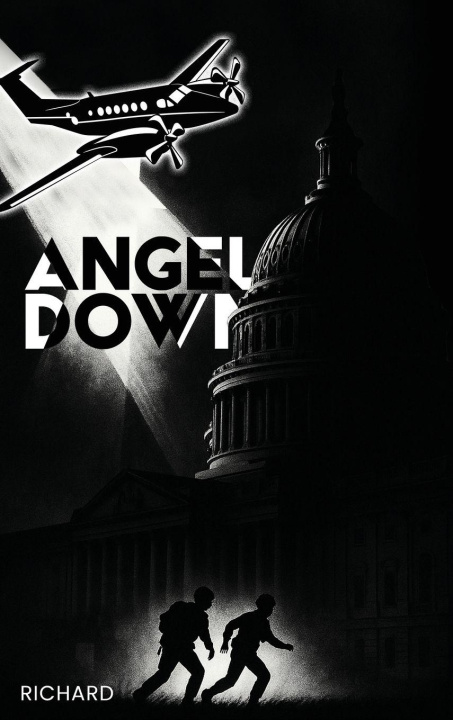 Buch Angel Down Richard Totino