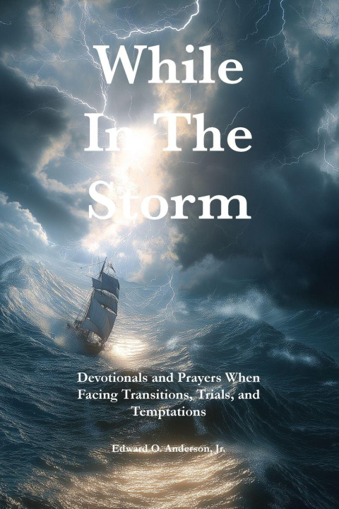 Kniha While in the Storm EDWARD OCAMPO JR ANDERSON