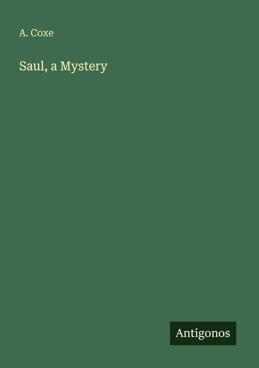 Boek Saul, a Mystery 