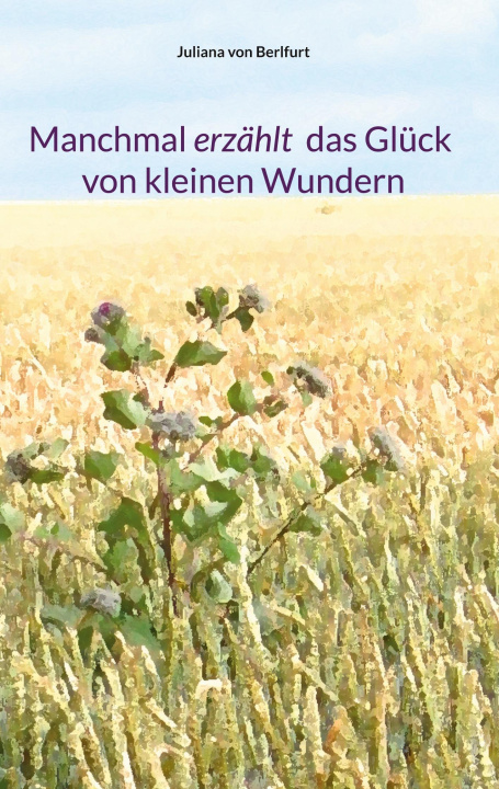 Boek Manchmal erzählt das Glück von kleinen Wundern 