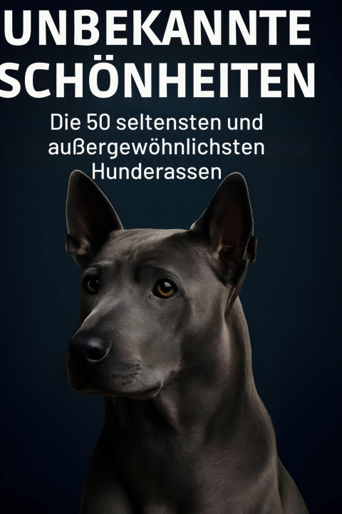 Kniha Unbekannte Schönheiten 