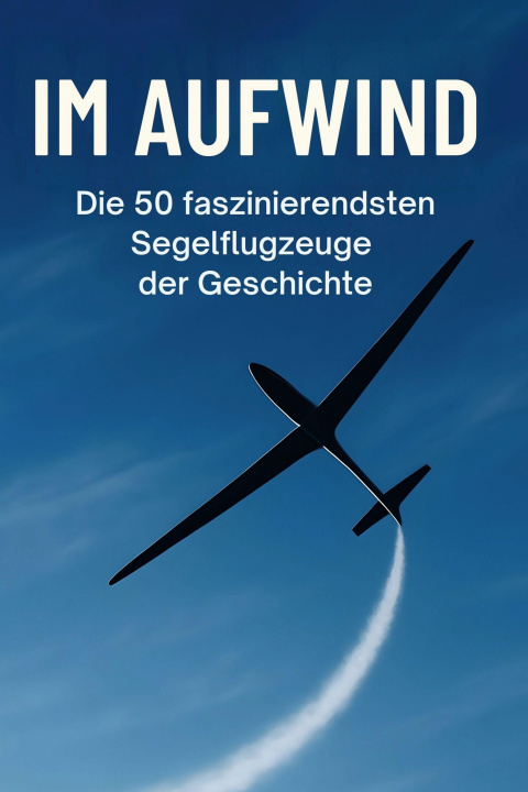 Kniha Im Aufwind Ben Schmied