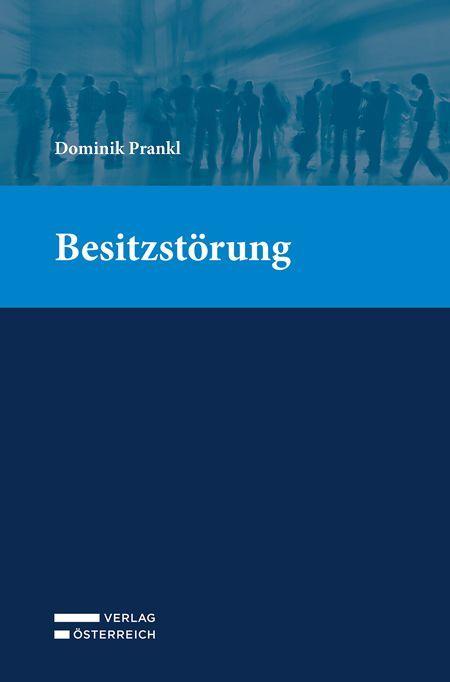 Buch Besitzstörung 