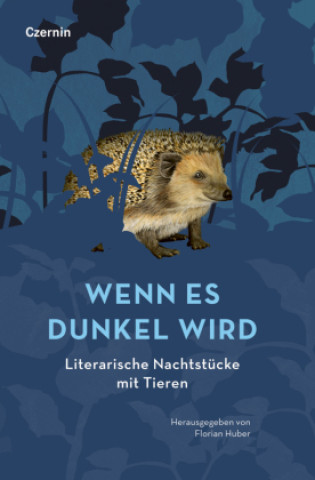 Kniha Wenn es dunkel wird Florian Huber