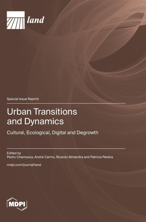 Книга Urban Transitions and Dynamics Pedro Chamusca