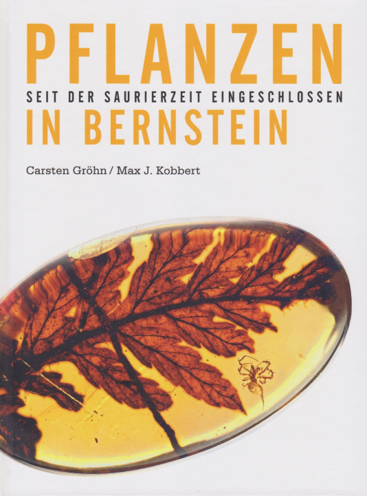 Buch Pflanzen in Bernstein Carsten Gröhn