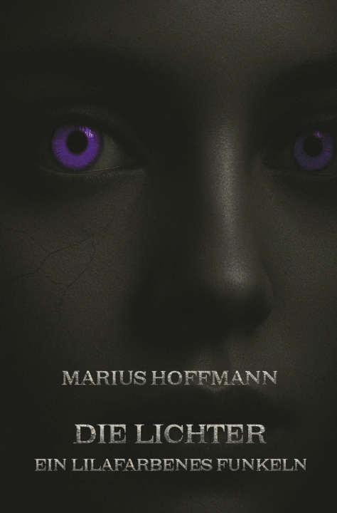 Kniha Die Lichter Marius Hoffmann