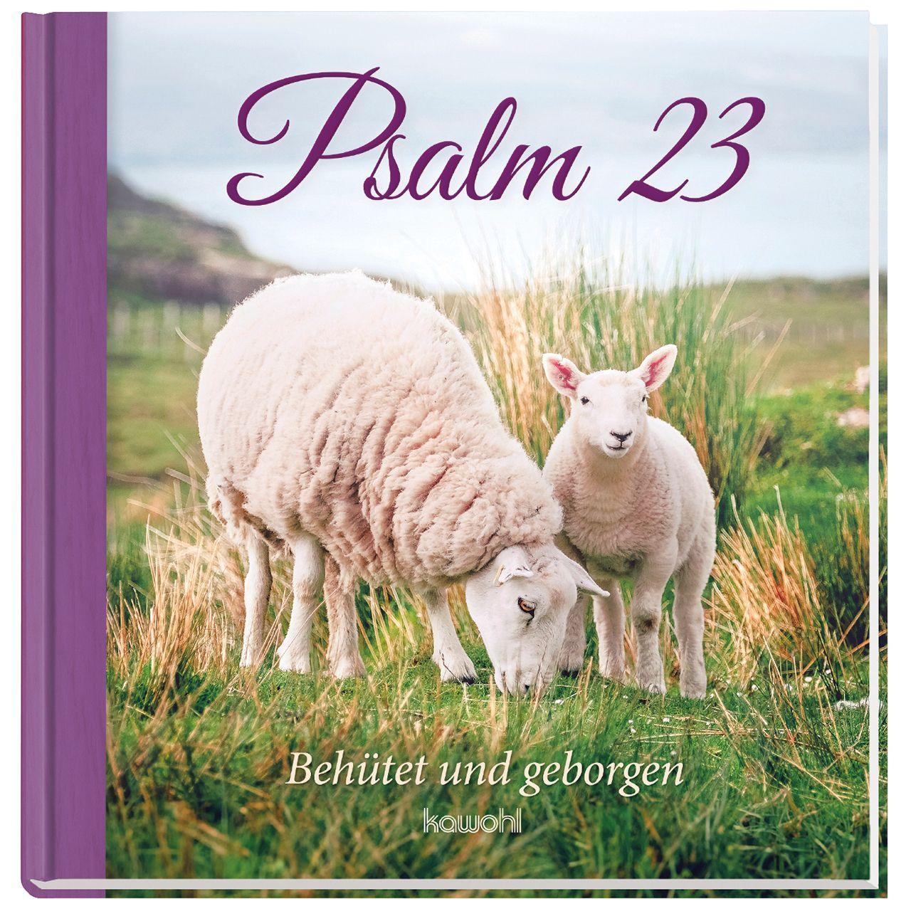 Kniha Psalm 23 
