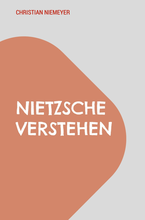 Book Nietzsche verstehen Christian Niemeyer