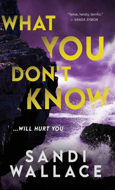 Book What You Don't Know Sandi Wallace