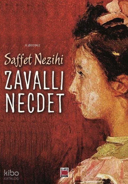 Knjiga Zavalli Necdet 