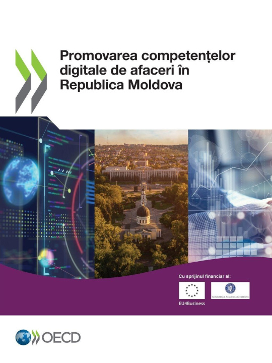 Buch Promovarea competen¿elor digitale de afaceri în Republica Moldova OECD