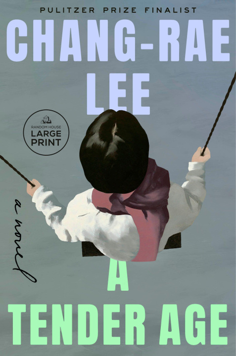Kniha A Tender Age LEE CHANG RAE