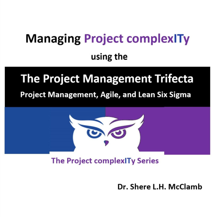 Kniha Managing Project complexITy  using  The Project Management Trifecta SHERE L.H. MCCLAMB