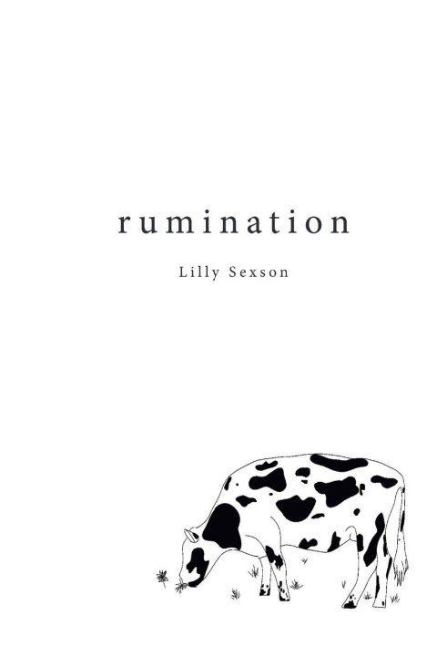 Kniha rumination Kylee Wells